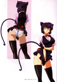 BUY NEW usagichan de cue - 74100 Premium Anime Print Poster